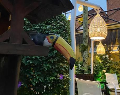 Canto Das Laranjeiras Moa Guarujá Eksteriør billede